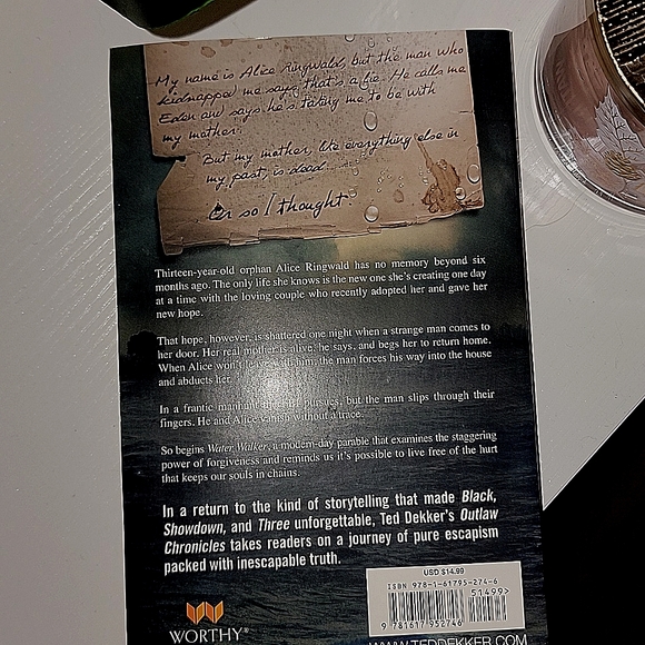 "Water Walker" by Ted Decker - Picture 2 of 2